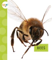 Bees cover image cdn