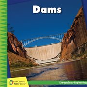 Dams cover image cdn