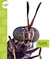 Flies cover image cdn