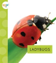 Ladybugs cover image cdn