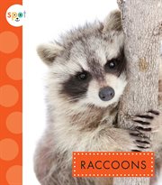 Raccoons cover image cdn