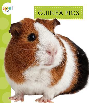 Guinea pigs  cover image cdn