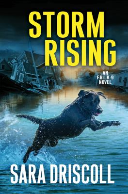 Storm rising  cover image cdn