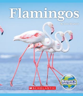 Flamingos  cover image cdn