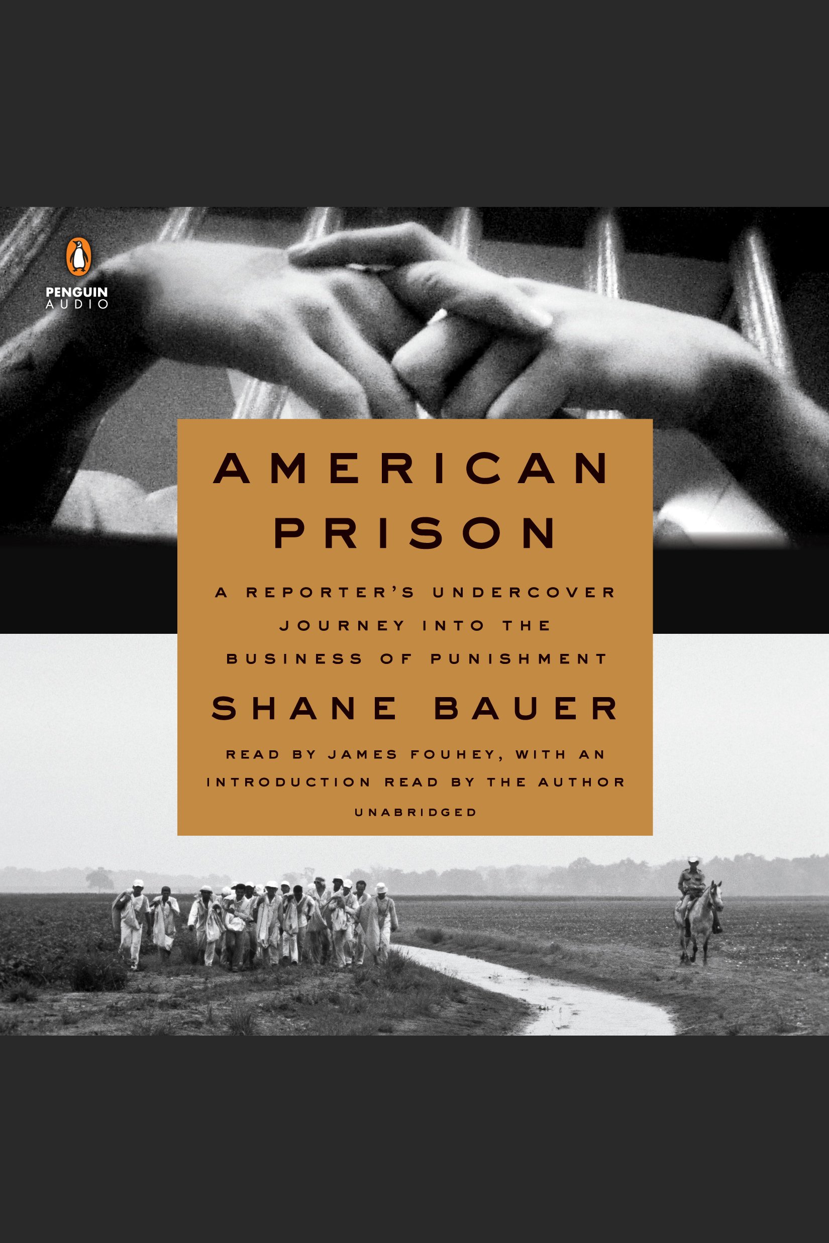American prison a reporter's undercover journey into the business of punishment cover image cdn