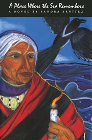 A place where the sea remembers : a novel cover image cdn