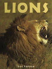 Lions cover image cdn