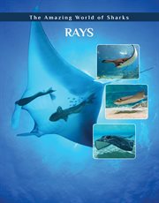 Rays cover image cdn