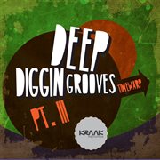 Deep diggin grooves, pt. iii cover image cdn