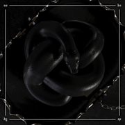 Nobody cover image cdn