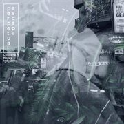 Perpetual escape cover image cdn