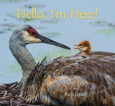 Hello, I'm here!  cover image cdn
