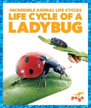 Life cycle of a ladybug cover image cdn