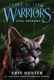 Long shadows cover image cdn