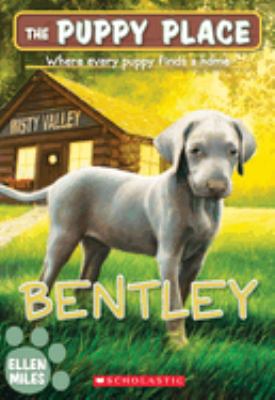 Bentley  cover image cdn