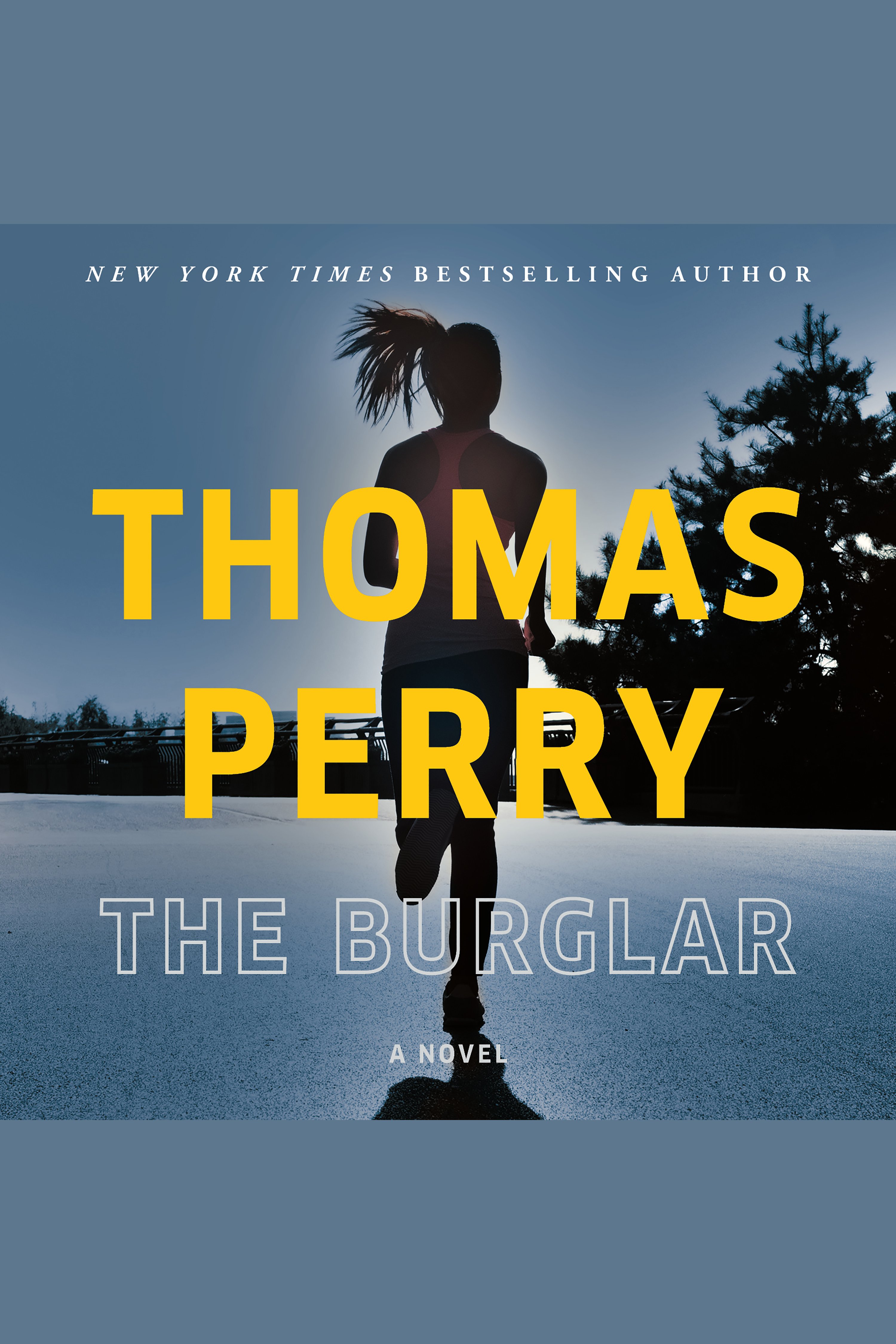 The burglar cover image cdn