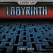 Labyrinth cover image cdn
