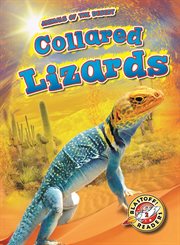 Collared lizards cover image cdn