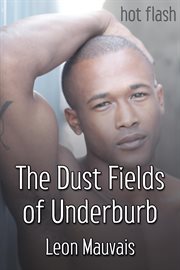 The dust fields of underburb cover image cdn