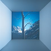 Big beautiful sky cover image cdn