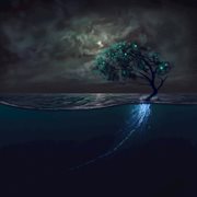 Blue! cover image cdn