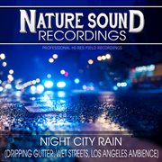 Night city rain (dripping gutter, wet streets, los angeles ambience) cover image cdn