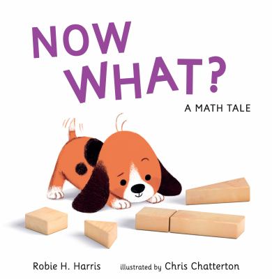 Now What? : a math tale  cover image cdn