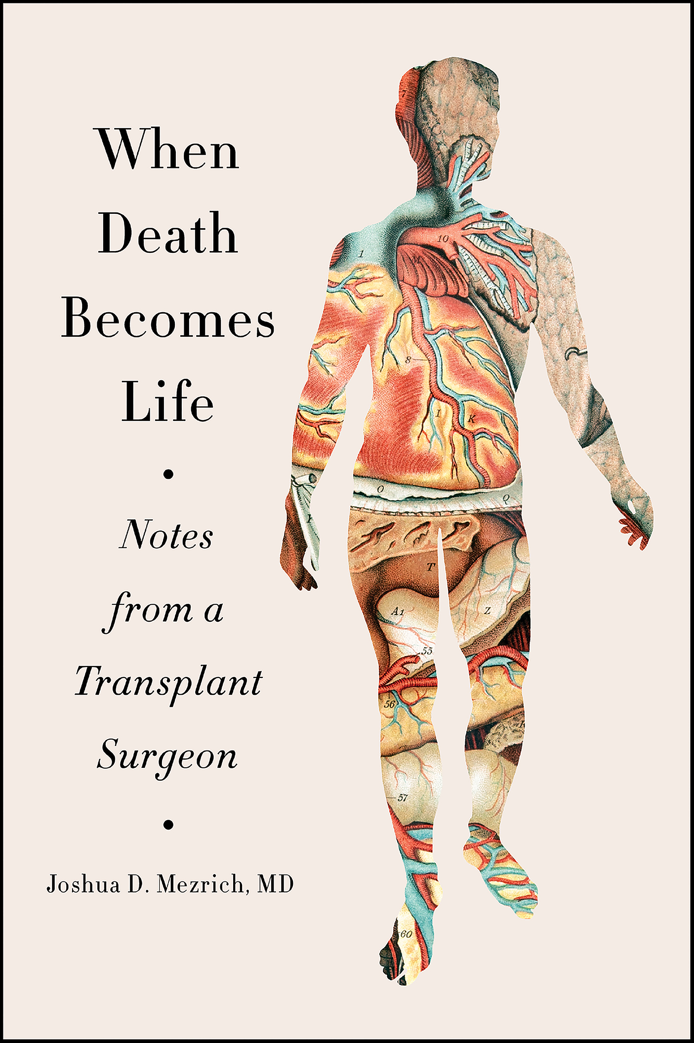When death becomes life notes from a transplant surgeon cover image cdn