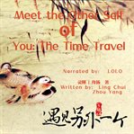 The time travel cover image cdn