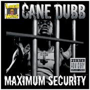 Maximum security cover image cdn