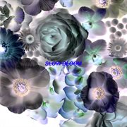 Slow bloom cover image cdn