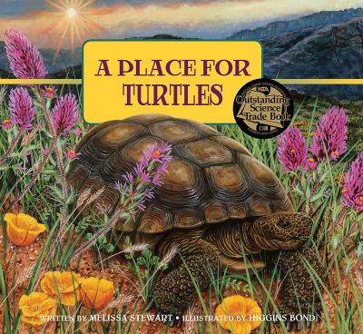 A place for turtles cover image