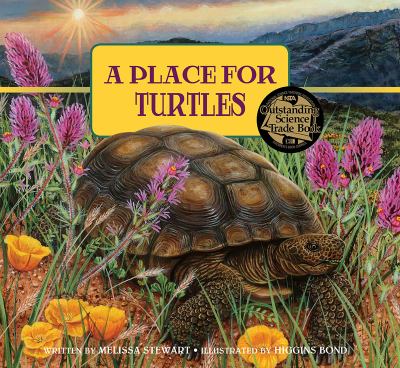 A place for turtles  cover image cdn