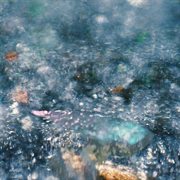 Subterranean landscapes cover image cdn