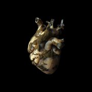 Uranium heart cover image cdn
