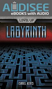 Labyrinth cover image cdn