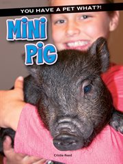 Mini pig cover image cdn