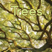 Trees cover image cdn