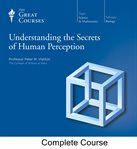 Understanding the secrets of human perception cover image cdn