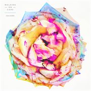 Colours cover image cdn