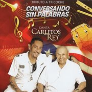 Conversando sin palabras cover image cdn