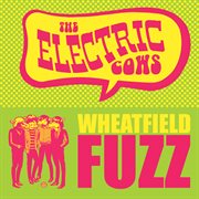 Wheatfield fuzz cover image cdn