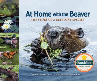 At home with the beaver : the story of a keystone species  cover image cdn