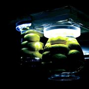 Hyperspace babies cover image cdn