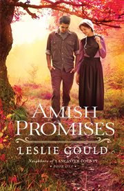 Amish promises cover image cdn