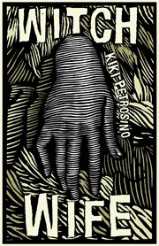 Aerialists : stories cover image cdn