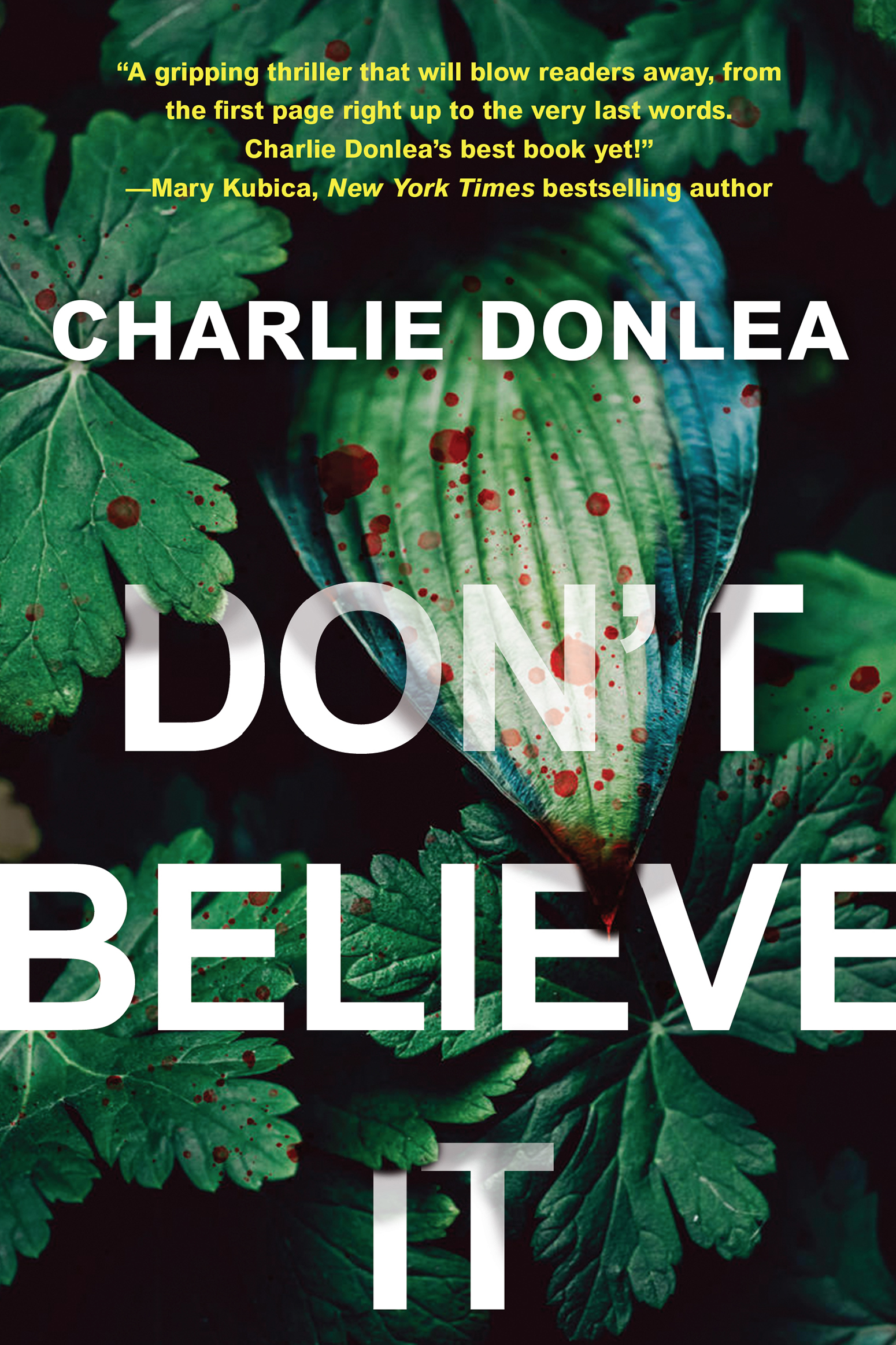 Don't believe it cover image cdn