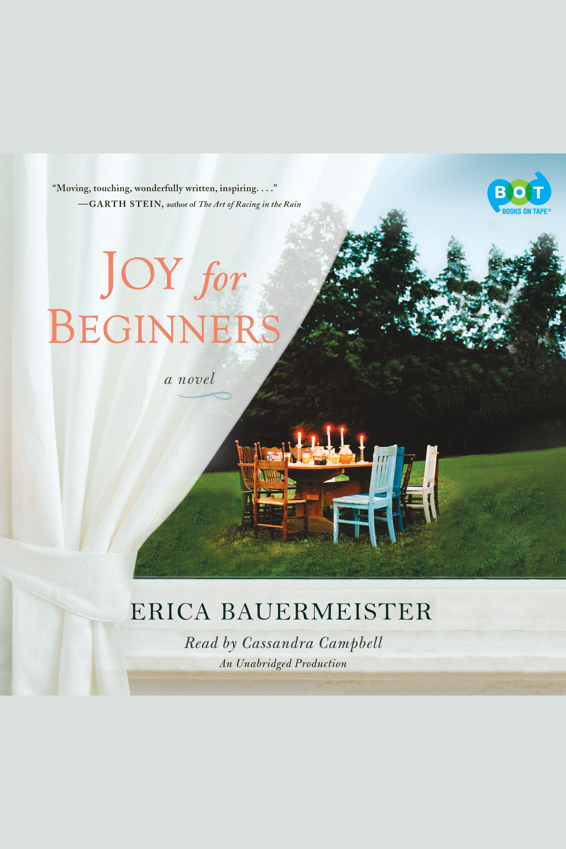 Joy for beginners cover image cdn