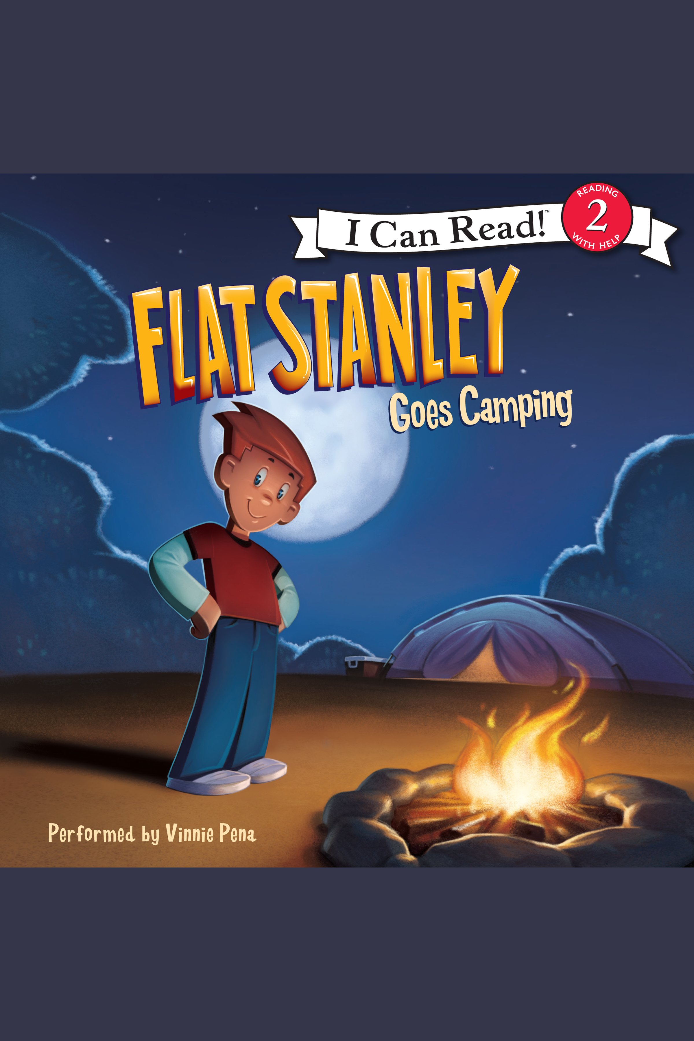 Flat Stanley goes camping cover image cdn