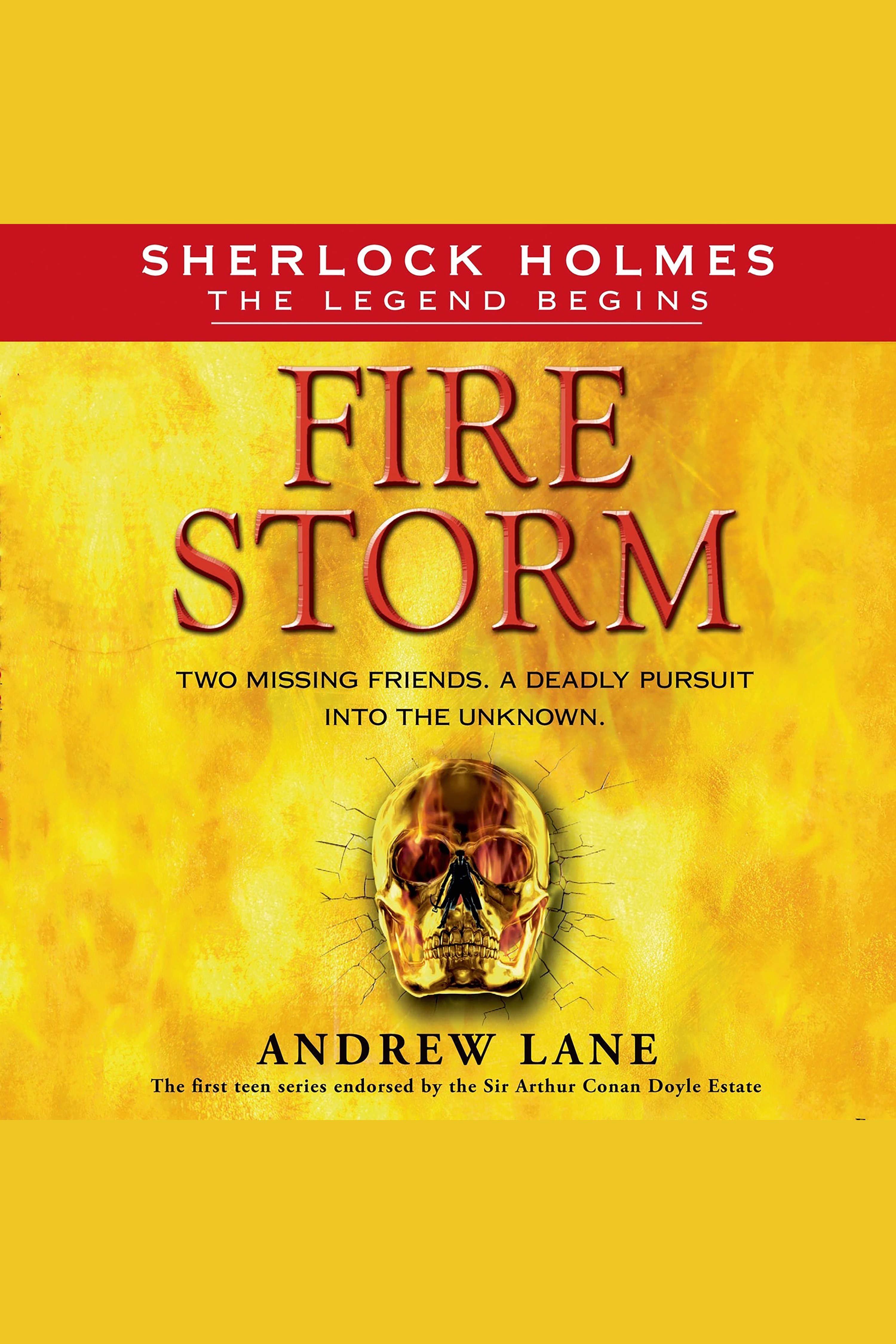 Fire storm cover image cdn